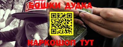 крисы Партизанск