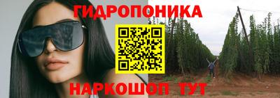 крисы Партизанск