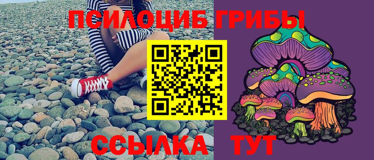 Галлюциногенные грибы Psilocybine cubensis  Галлюциногенные грибы мицелий  Вход с VPN  Саратов 